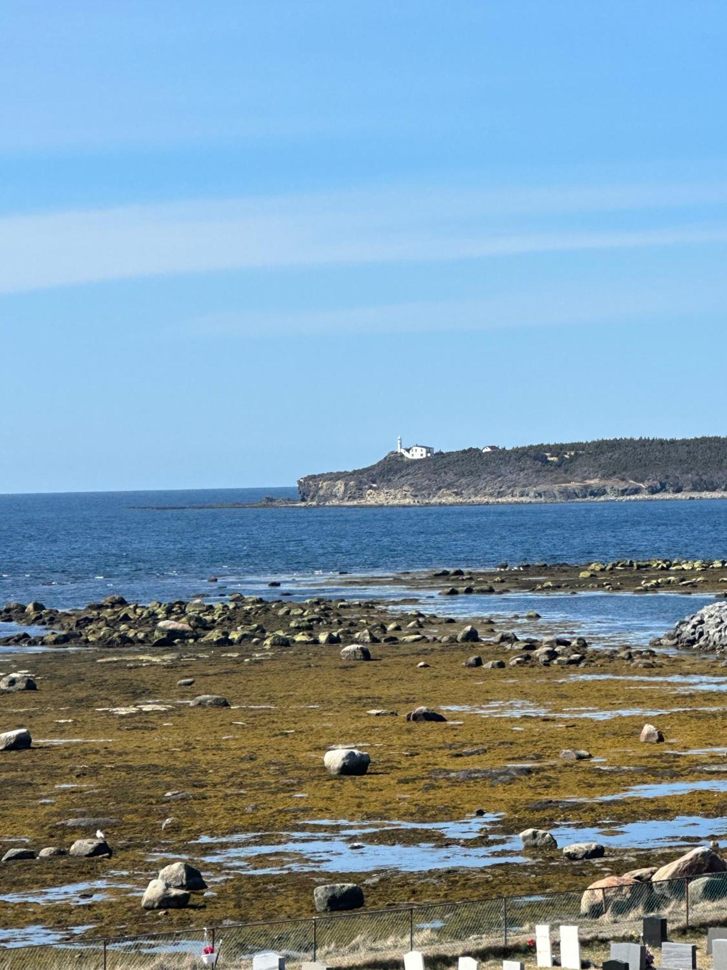 Stay In Gros Morne Rocky Harbour Room photo