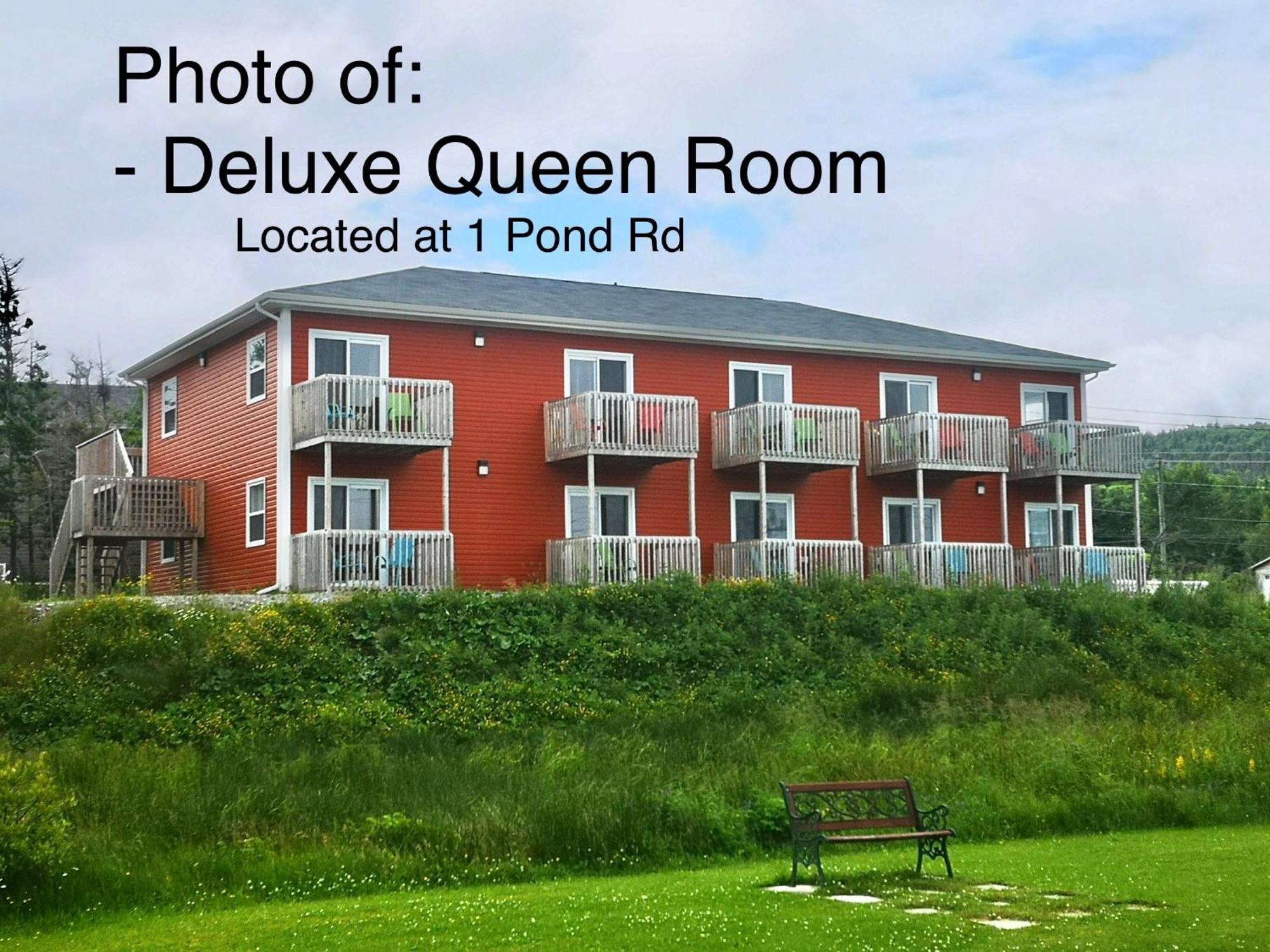 Stay In Gros Morne Rocky Harbour Room photo